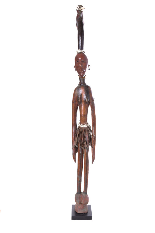 Walking stick - Wood, Antelope skin - Ekoi - Nigeria