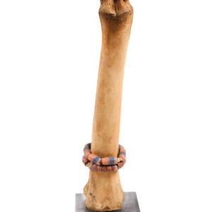 Fertility Doll - Bone, beads - Fali - Cameroon