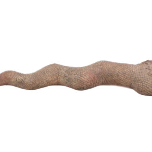 Snake - Bronze - Benin