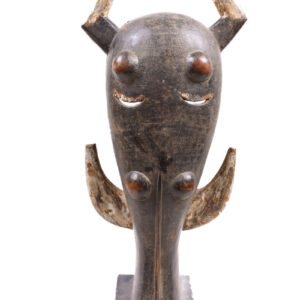 Warthog mask - Wood - Ligbi - Ivory Coast